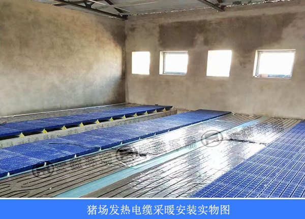猪场发热电缆采暖安装实物图